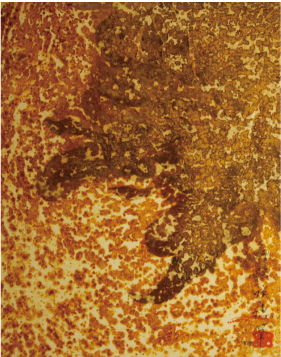 Sakuho Ito