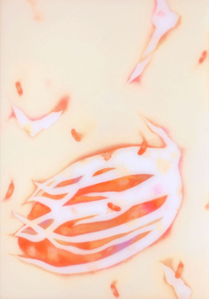 Yasuo Ogawa